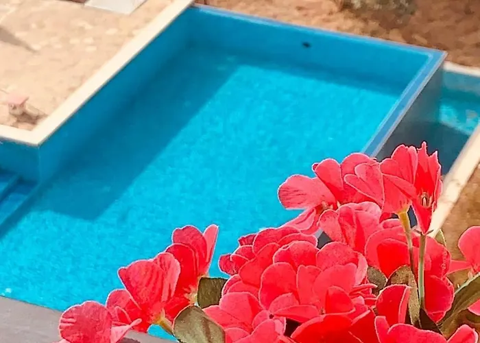 Apartment студия авангард *