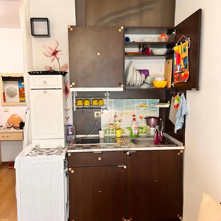 студия авангард *